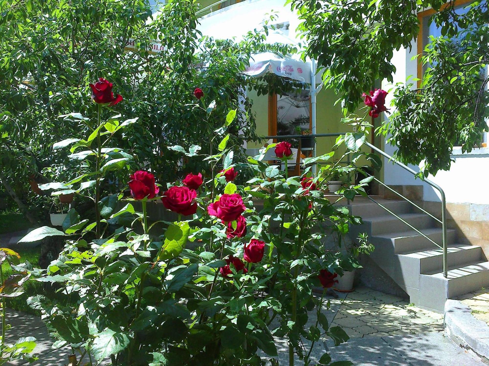 Family Hotel Sonata Samokov Ngoại thất bức ảnh