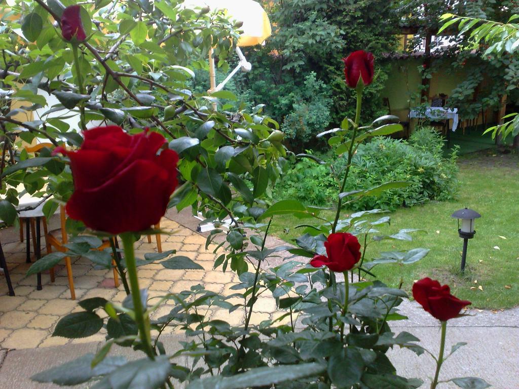 Family Hotel Sonata Samokov Ngoại thất bức ảnh