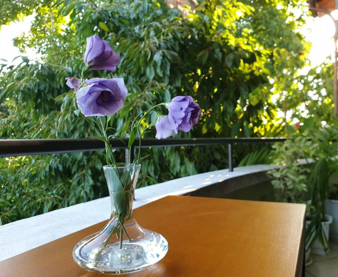 Family Hotel Sonata Samokov Ngoại thất bức ảnh